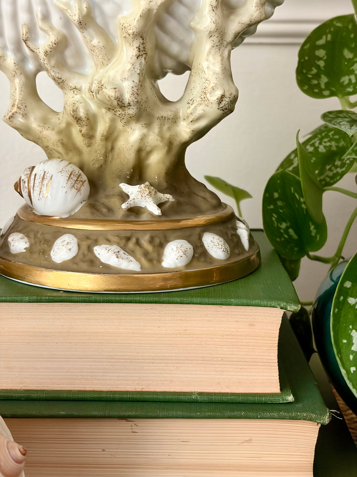Vintage Nautilus Shell Vessel