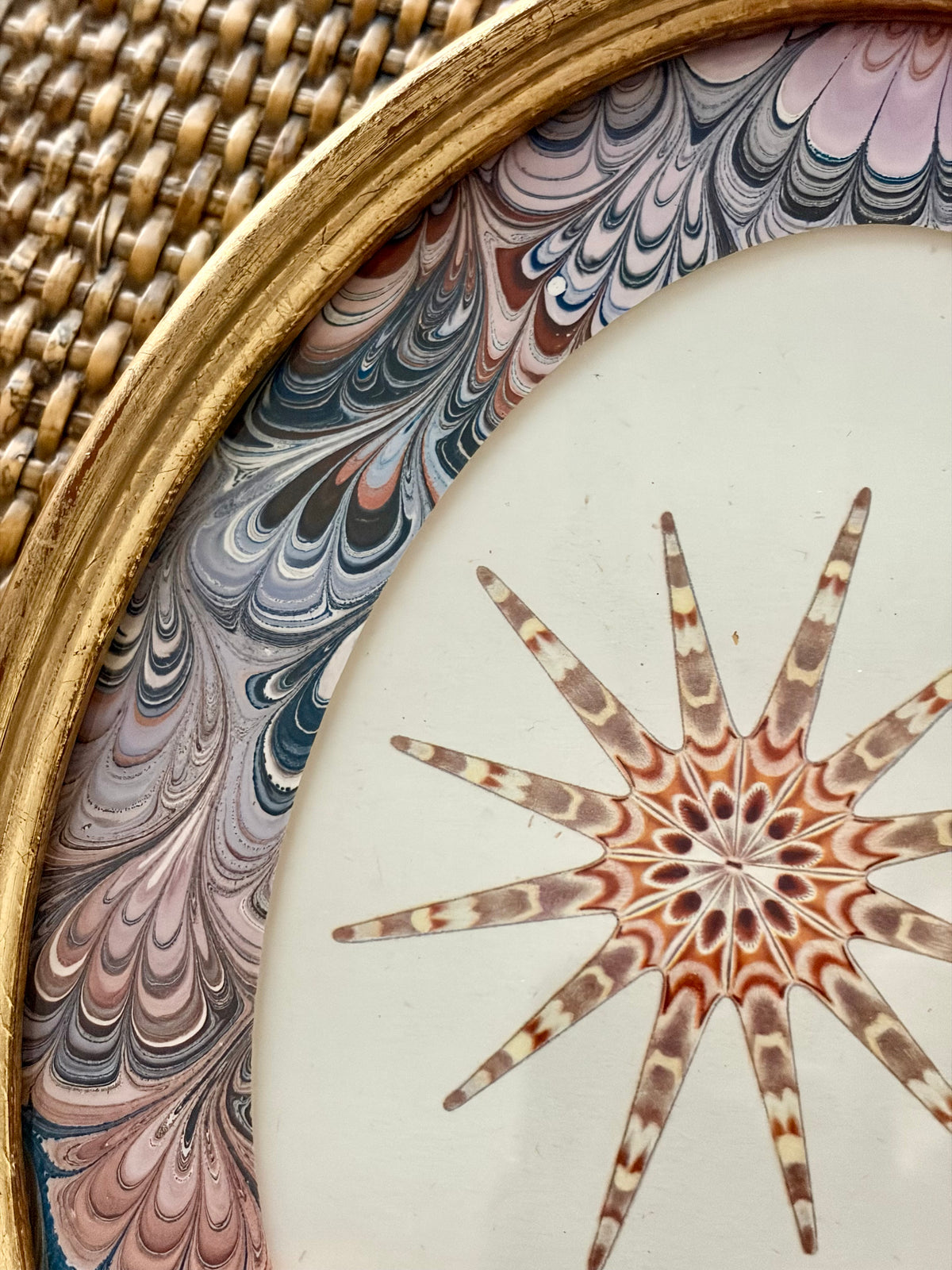 Vintage Starfish Print