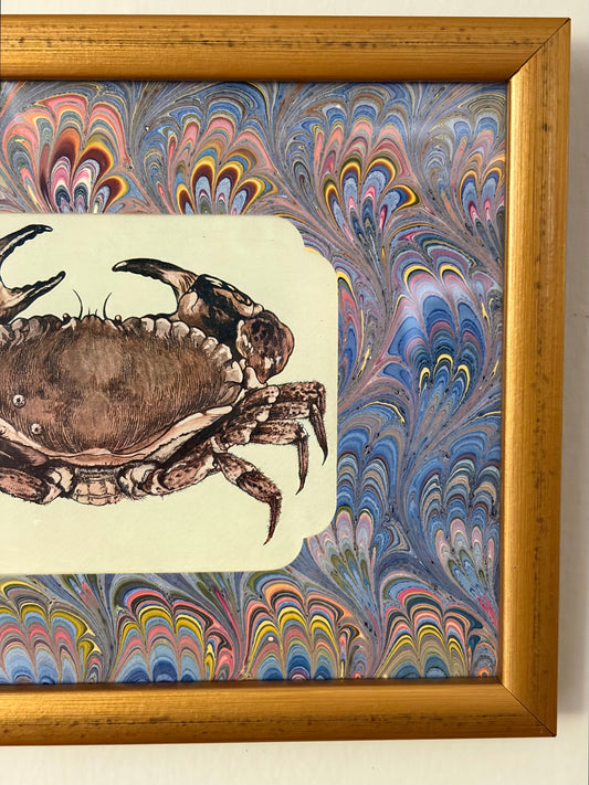 Antique Crab Print