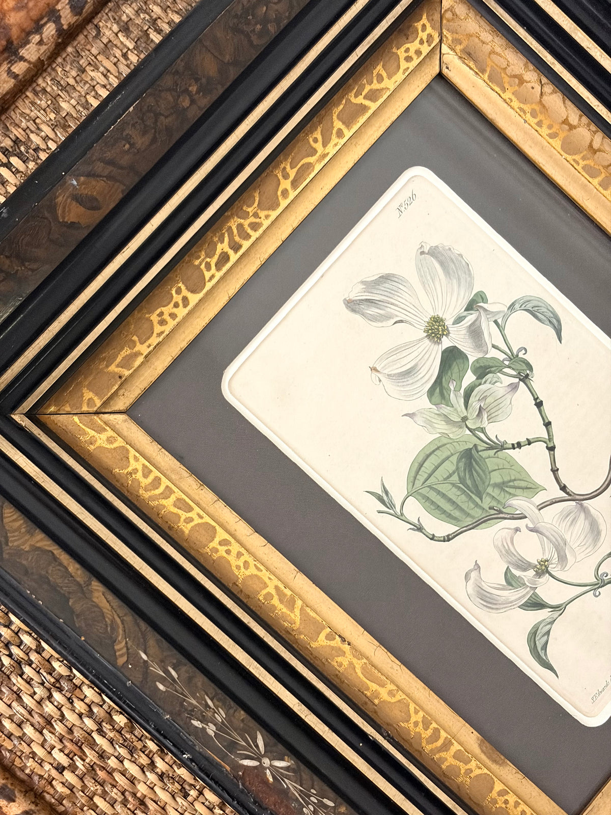 Antique Dogwood Engraving