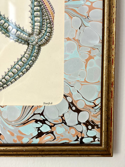 Vintage Starfish Print