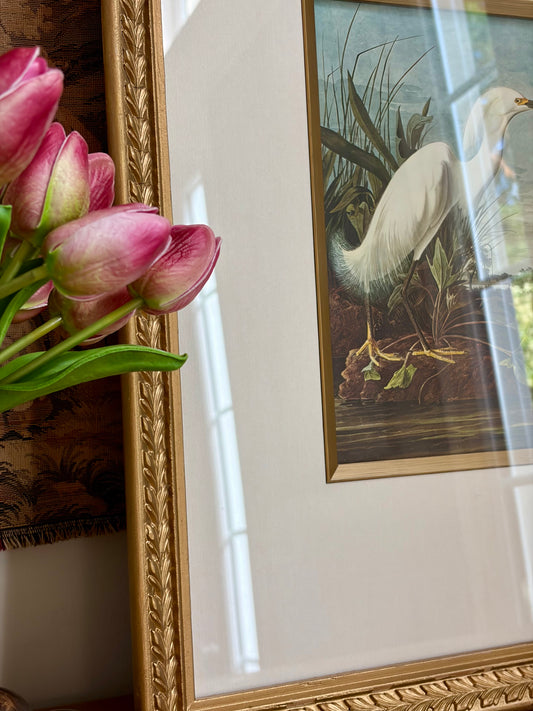 Snowy Egret Plate 48