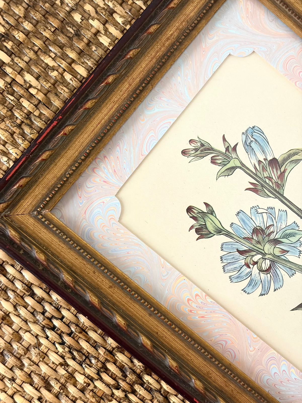 Vintage Flower Print