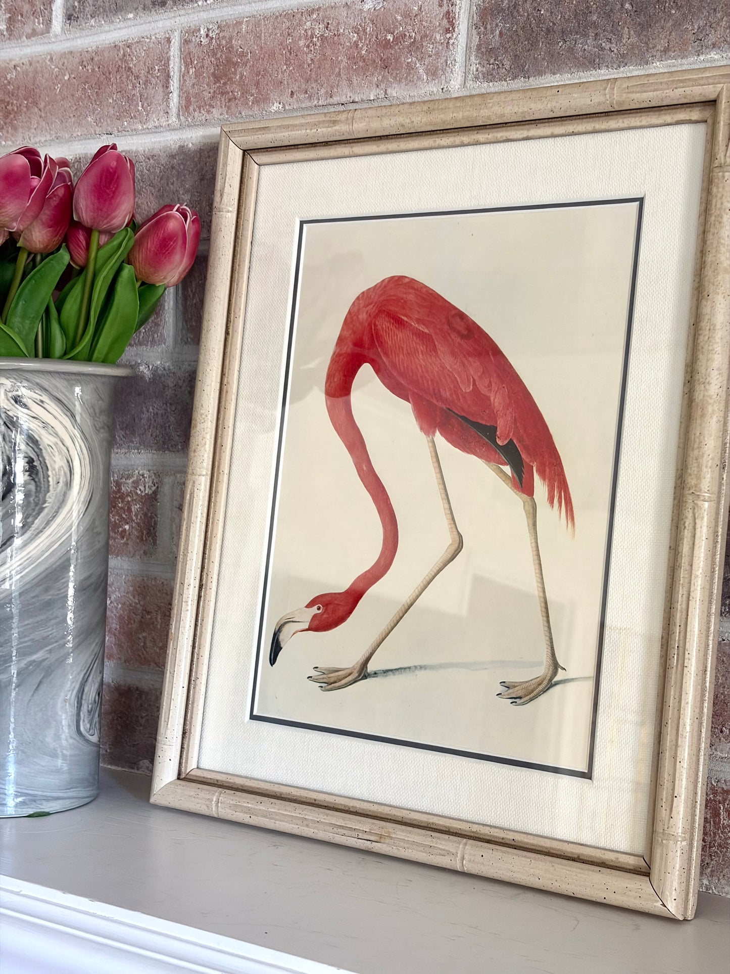 Vintage Framed Flamingo Audubon Bookplate