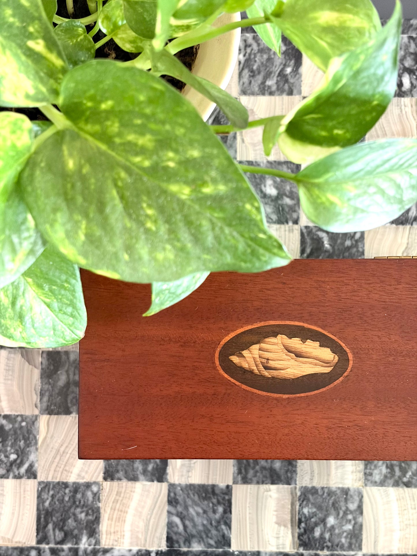 Vintage Mahogany Shell Inlay Tea Caddy with Brass Feet
