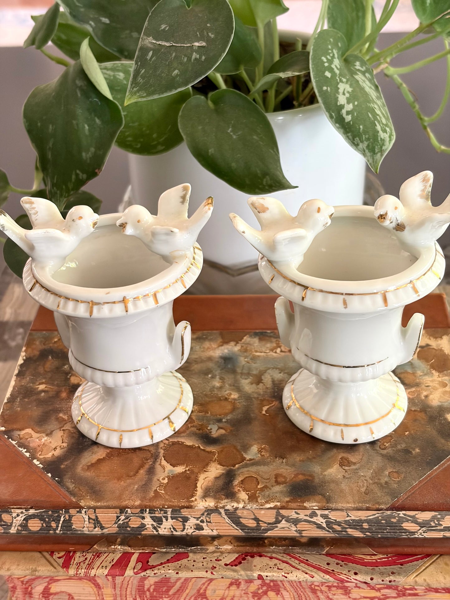 Vintage Pair of Dove Urns