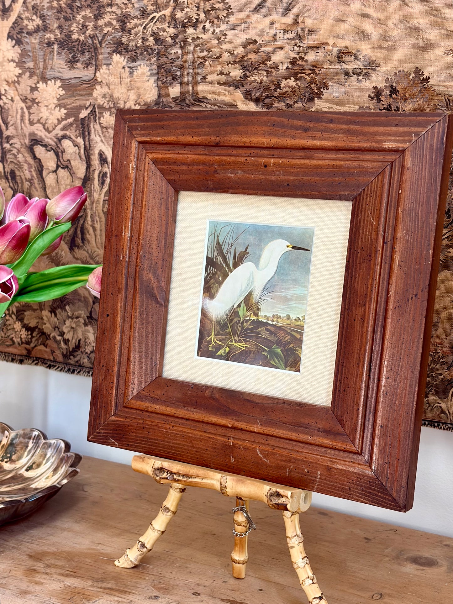 Snowy Egret Plate 20