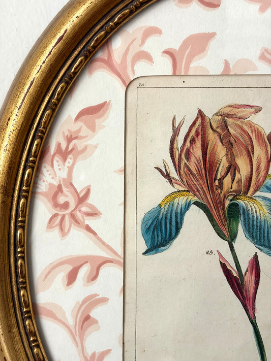 Antique Flower Print