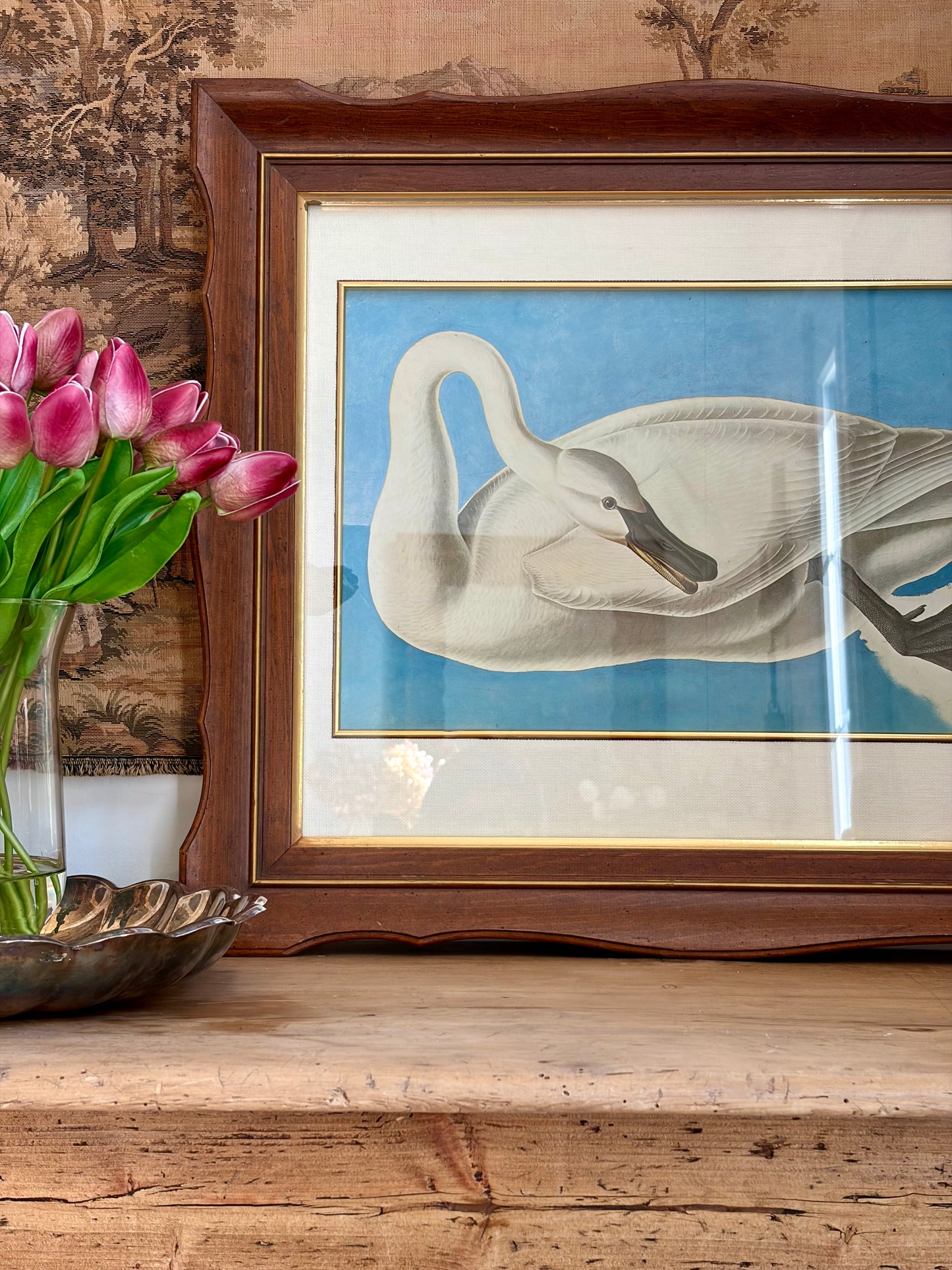 Whistling Swan Plate 258