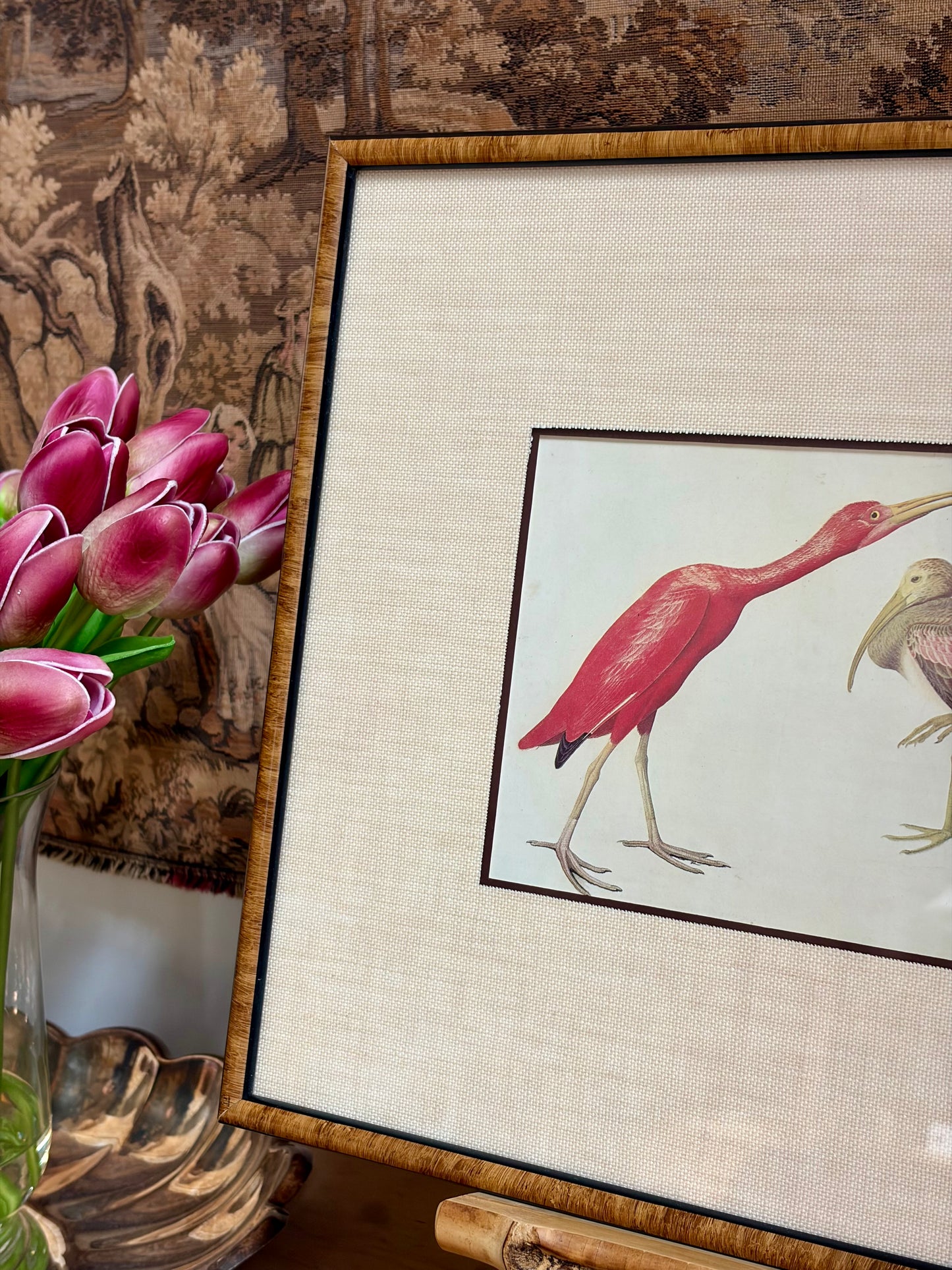 Scarlet Ibis Plate 179