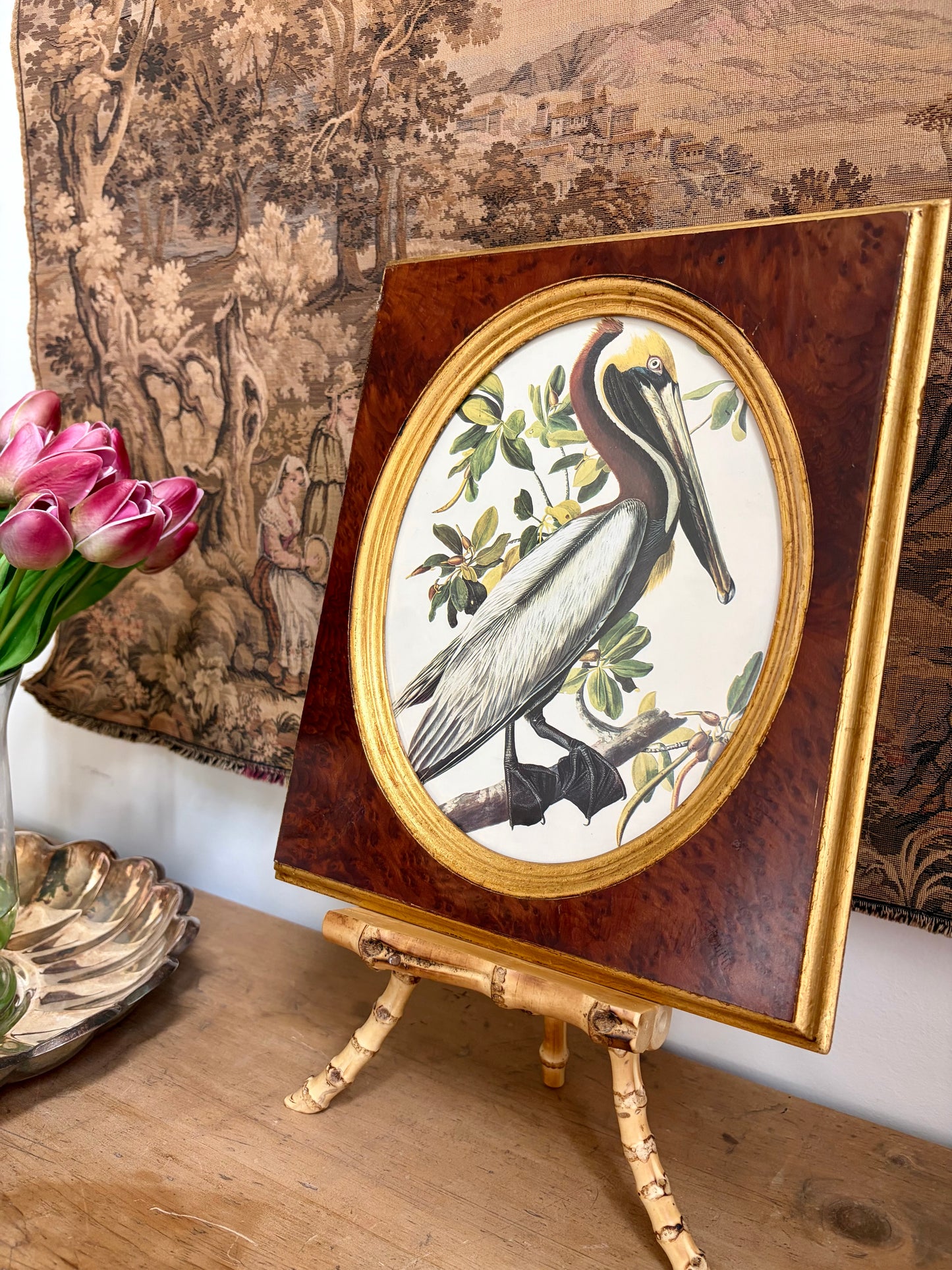 Brown Pelican Plate 396