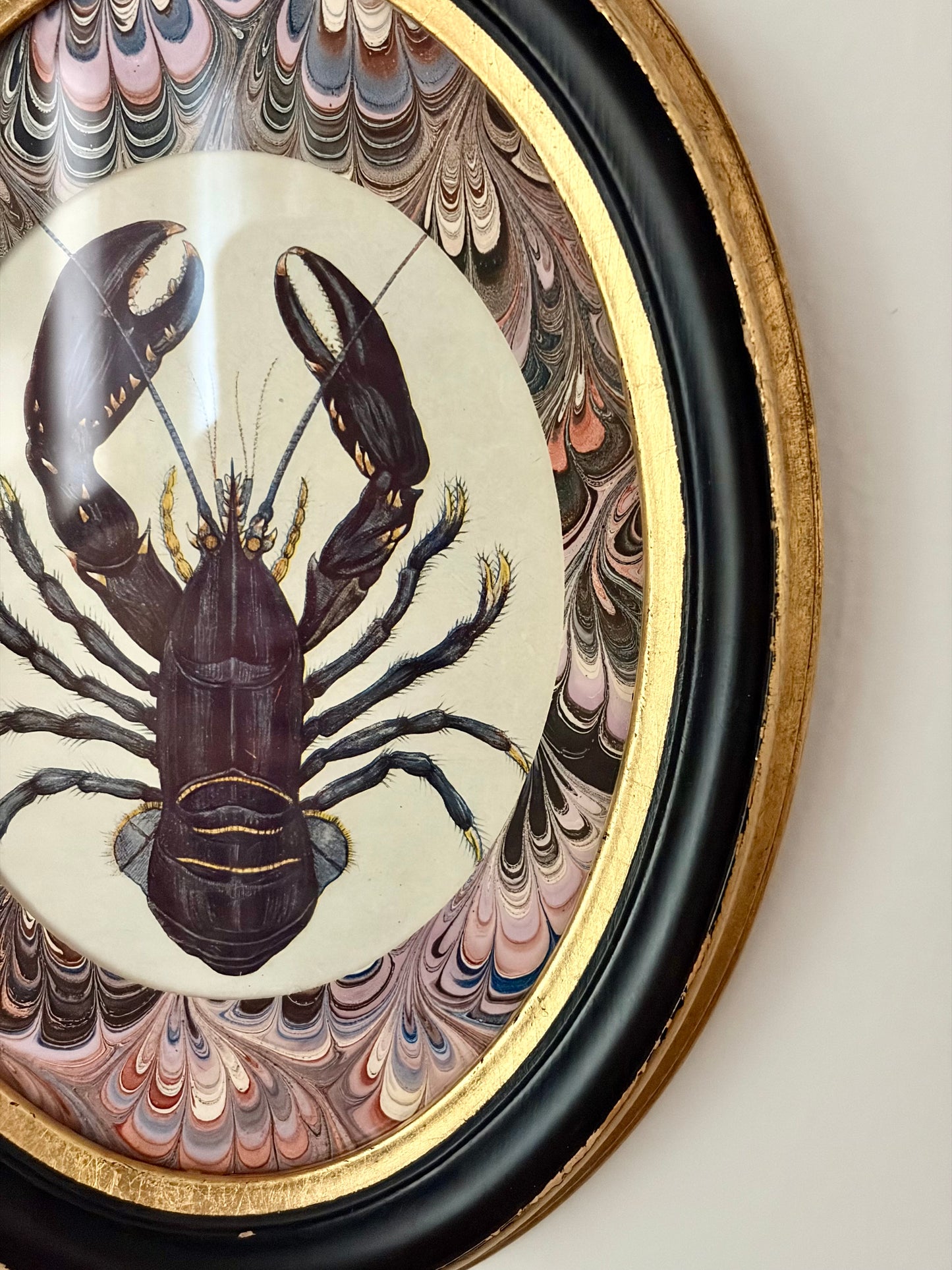 Framed Antique Lobster Print
