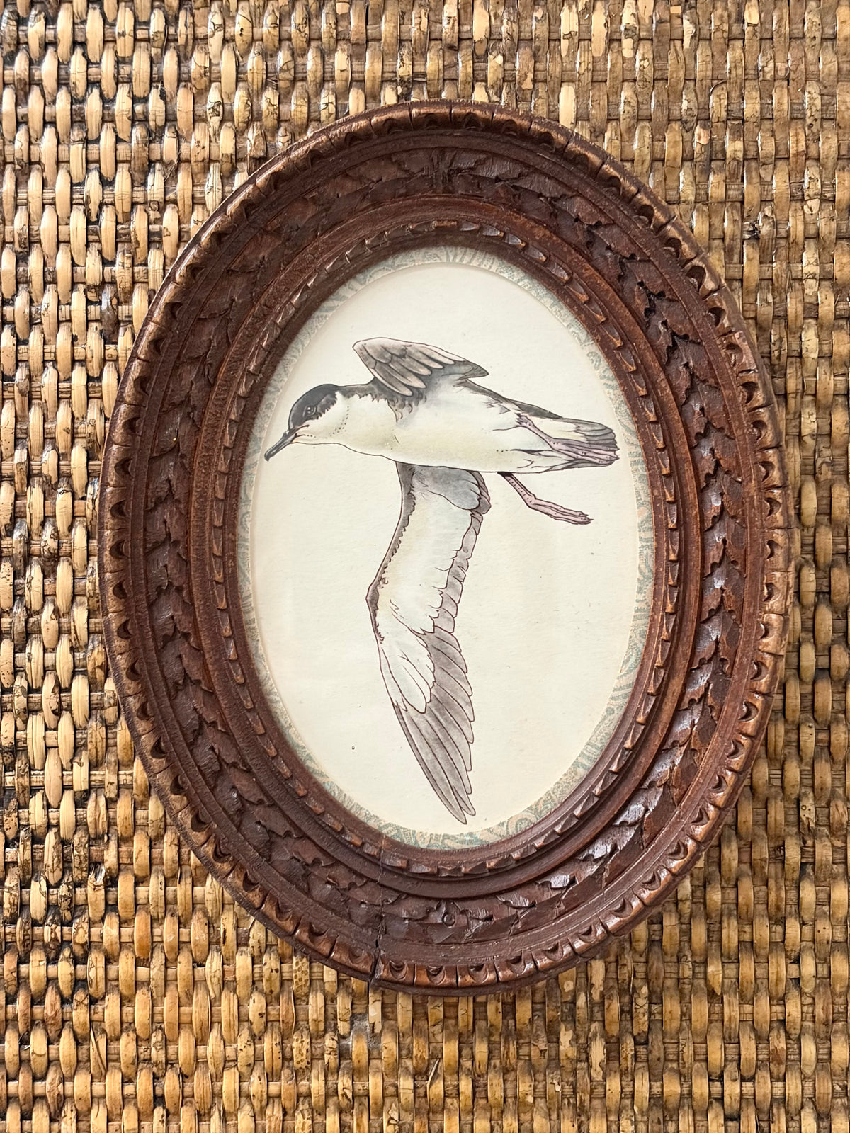 Vintage Bird Print