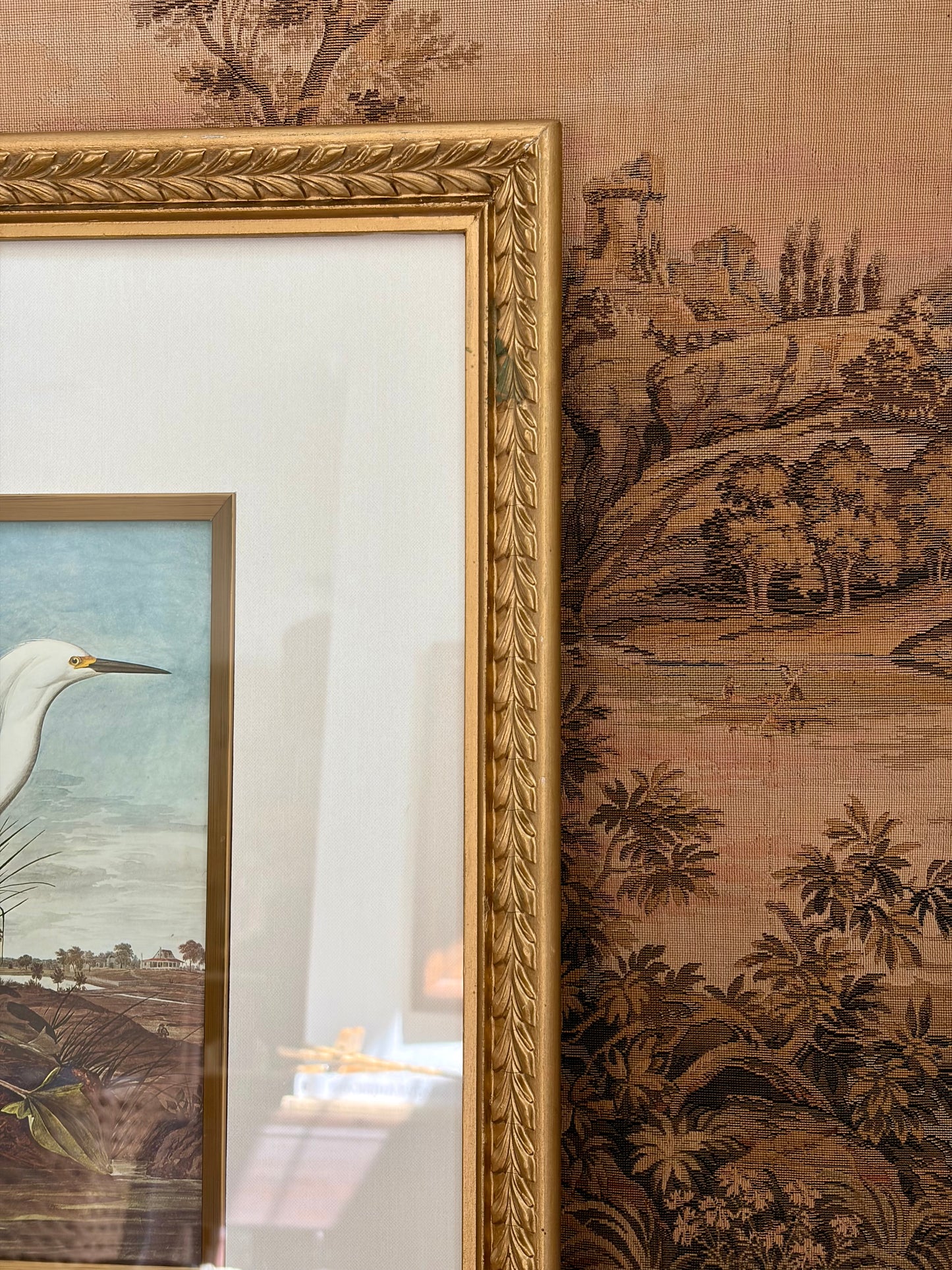 Snowy Egret Plate 48