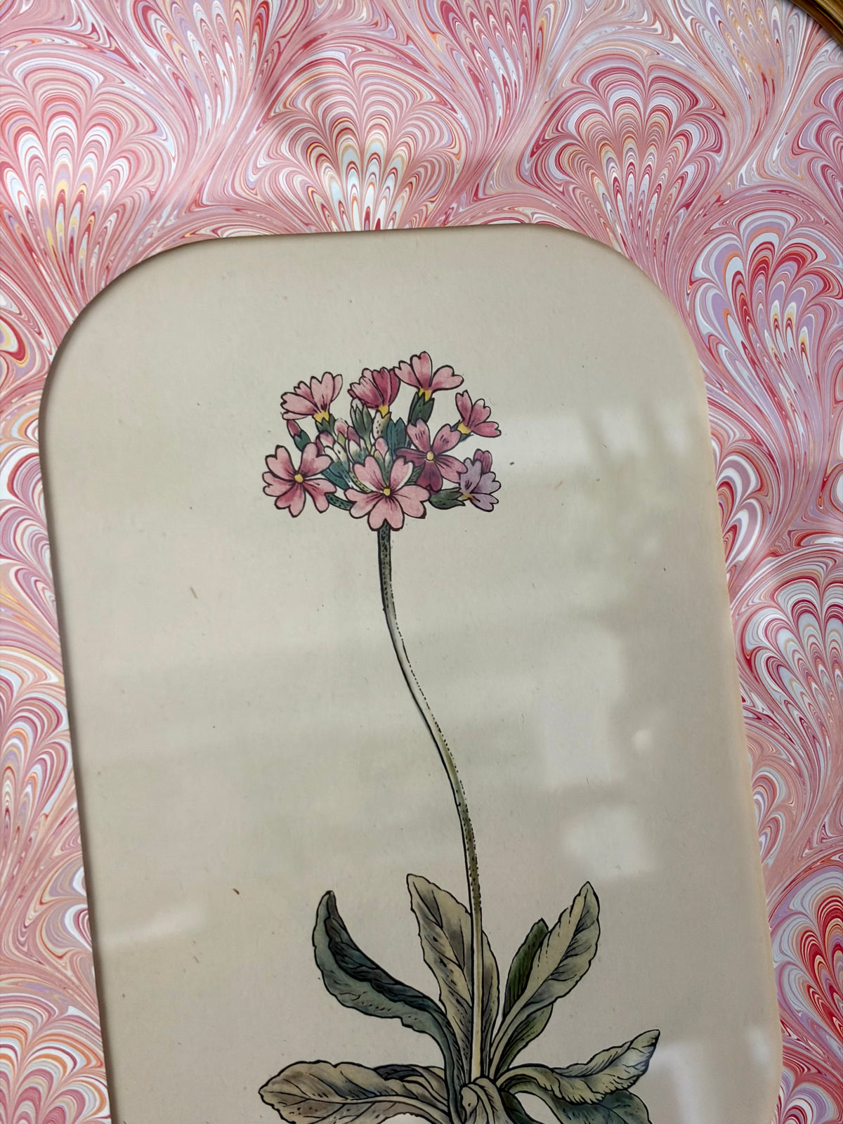 Vintage Flower Print