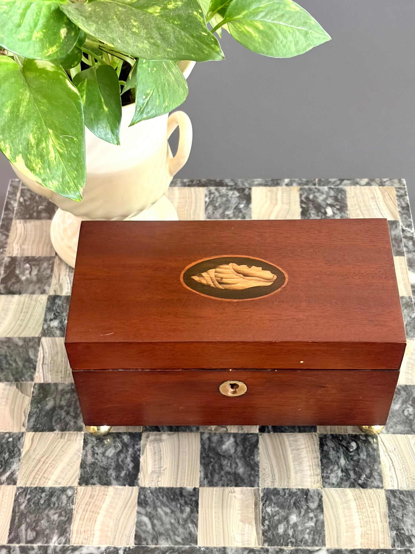 Vintage Mahogany Shell Inlay Tea Caddy with Brass Feet