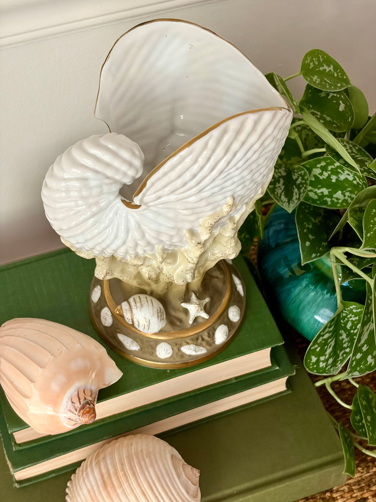 Vintage Nautilus Shell Vessel