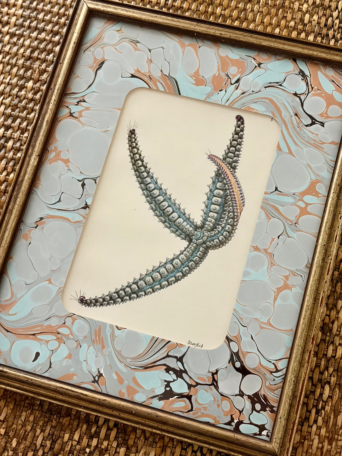 Vintage Starfish Print