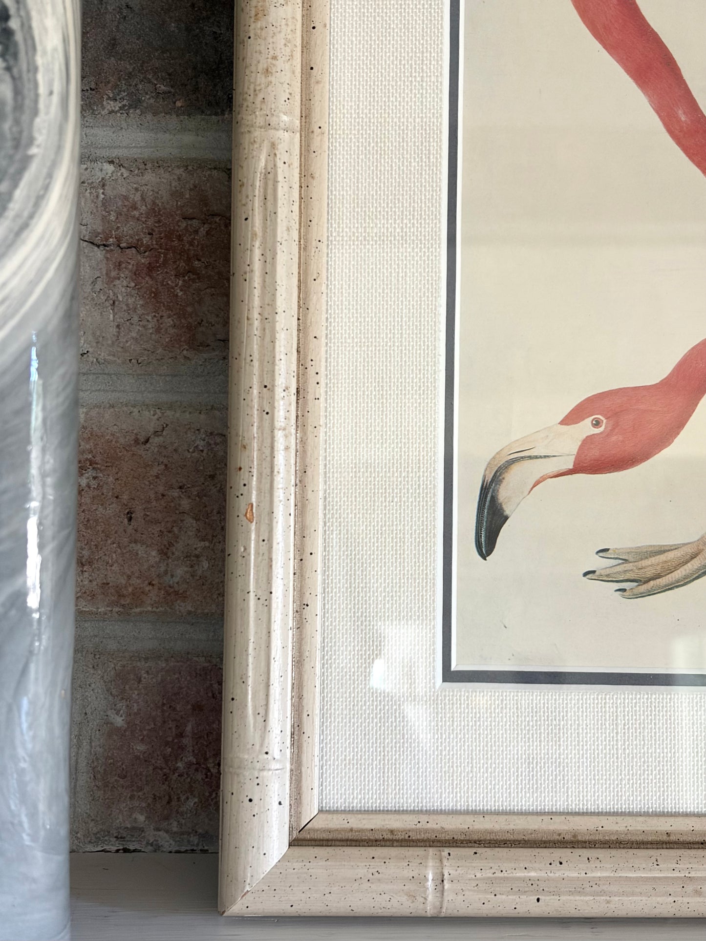 Vintage Framed Flamingo Audubon Bookplate