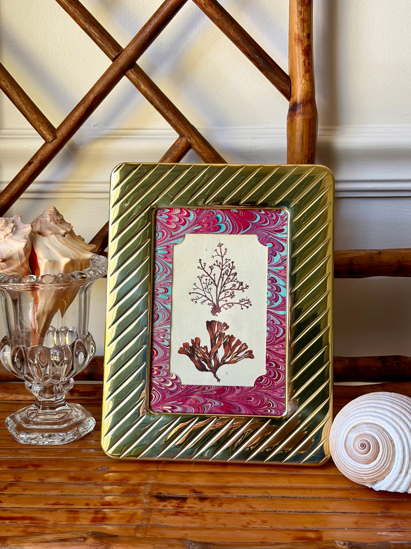 Framed Antique Coral Print