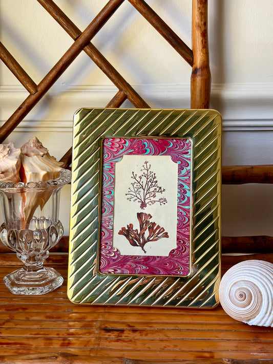 Framed Antique Coral Print