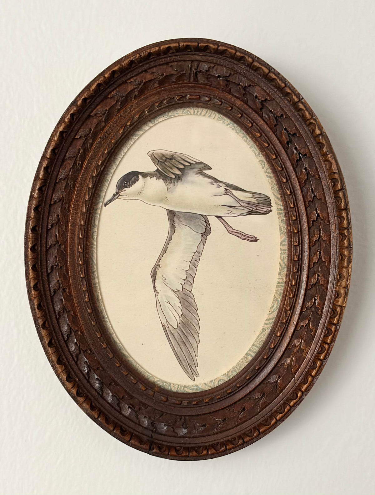 Vintage Bird Print