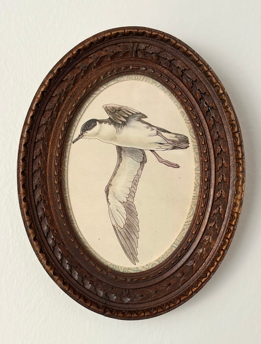 Vintage Bird Print