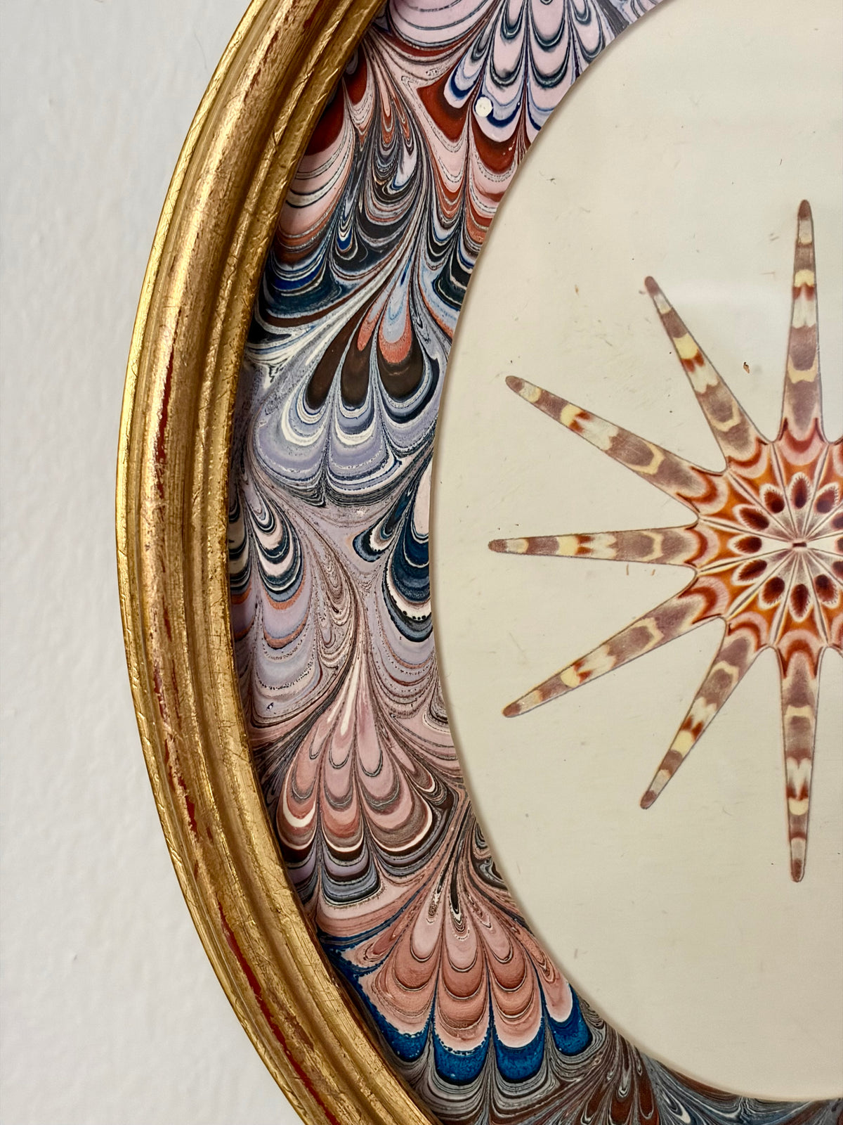 Vintage Starfish Print
