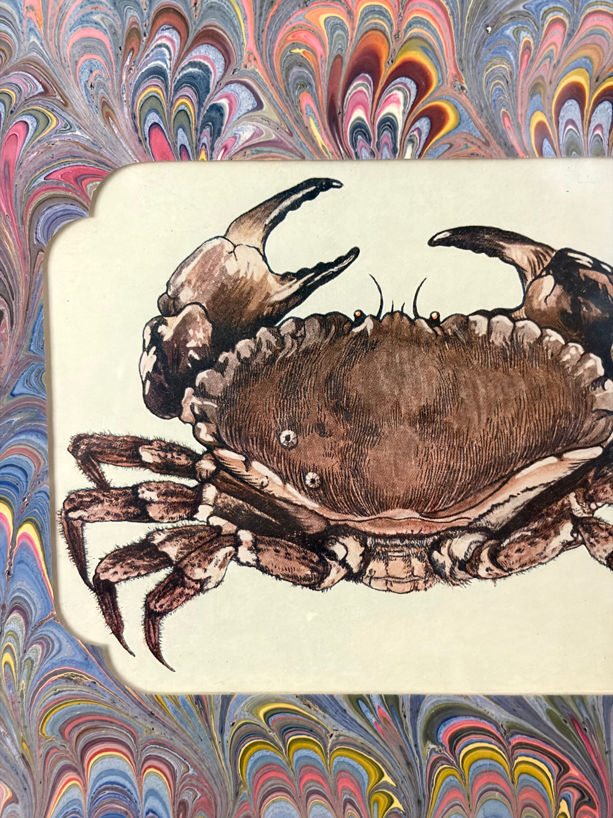 Antique Crab Print