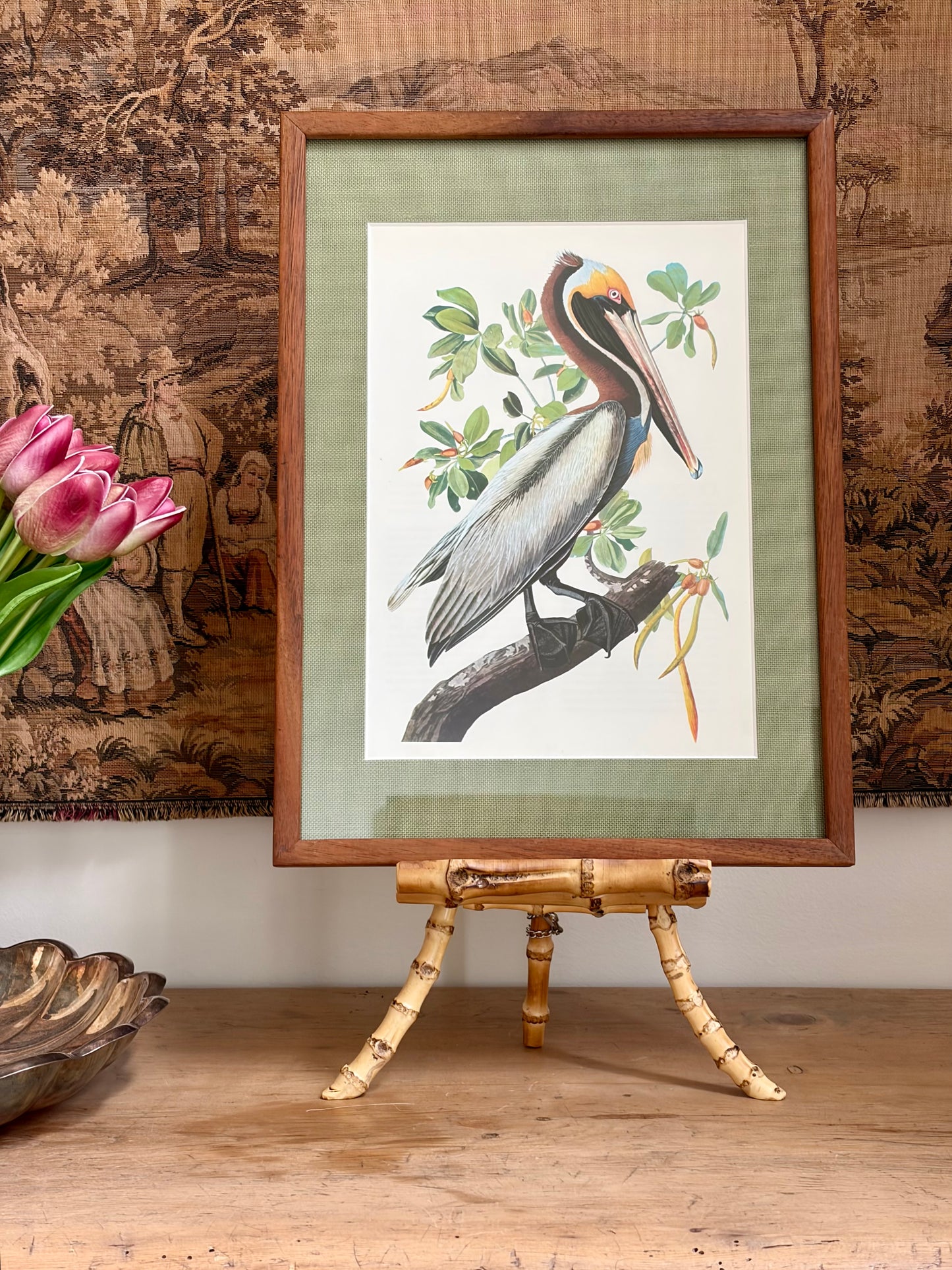 Brown Pelican Plate 17