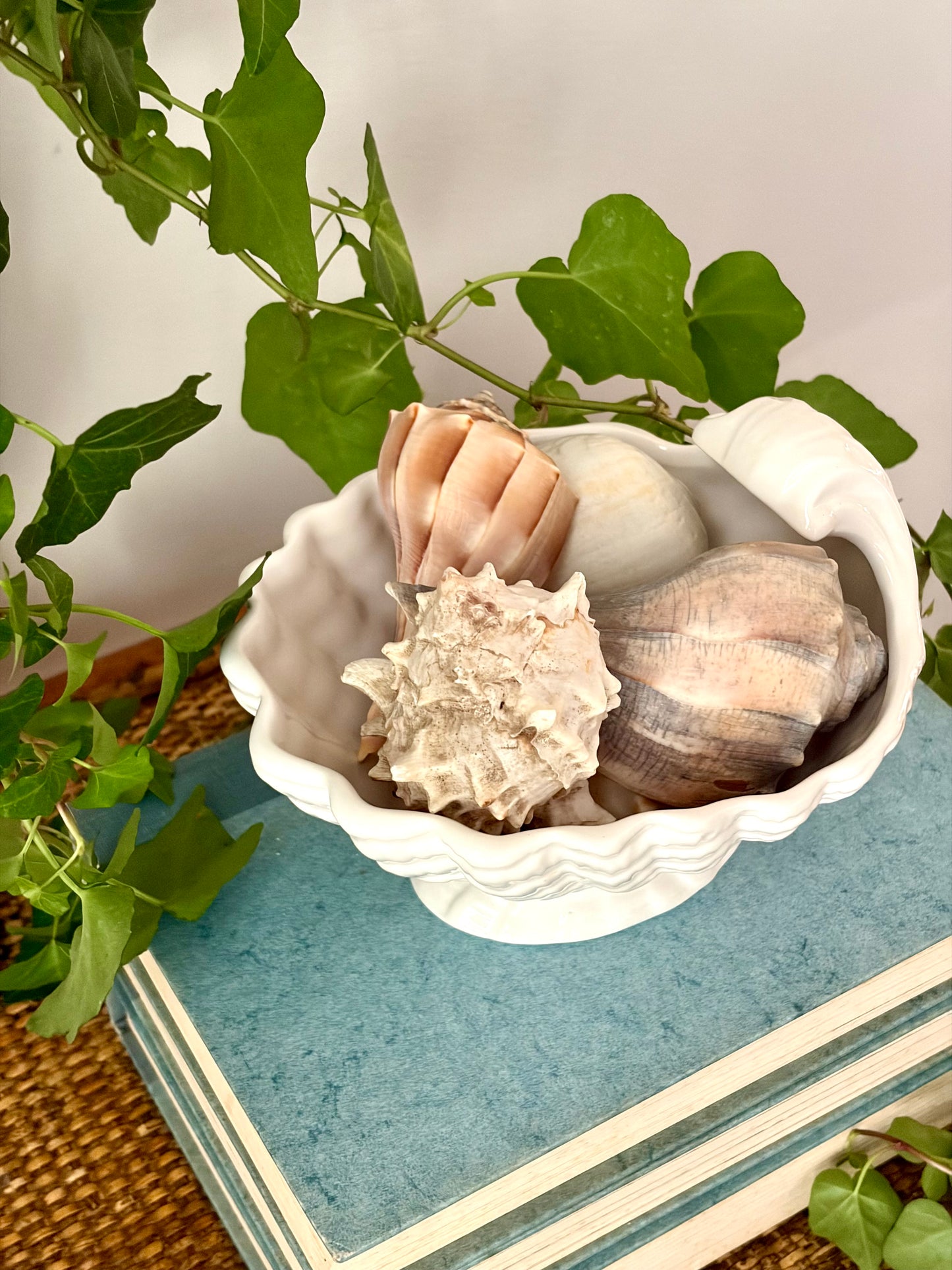 Vintage White Shell Compote