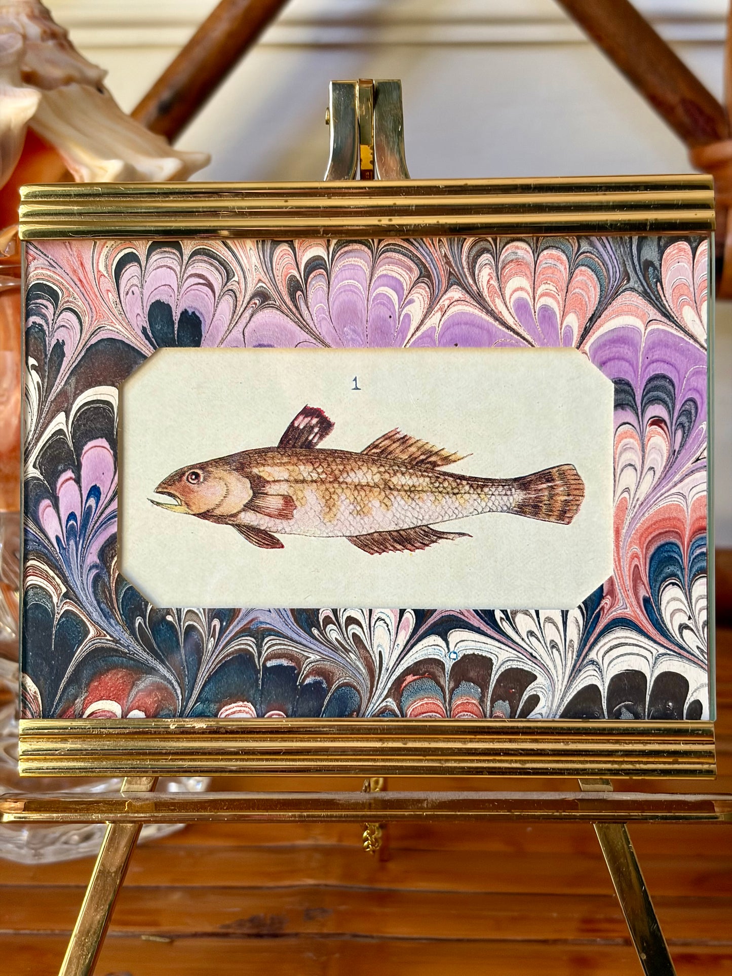 Framed Antique Fish Print