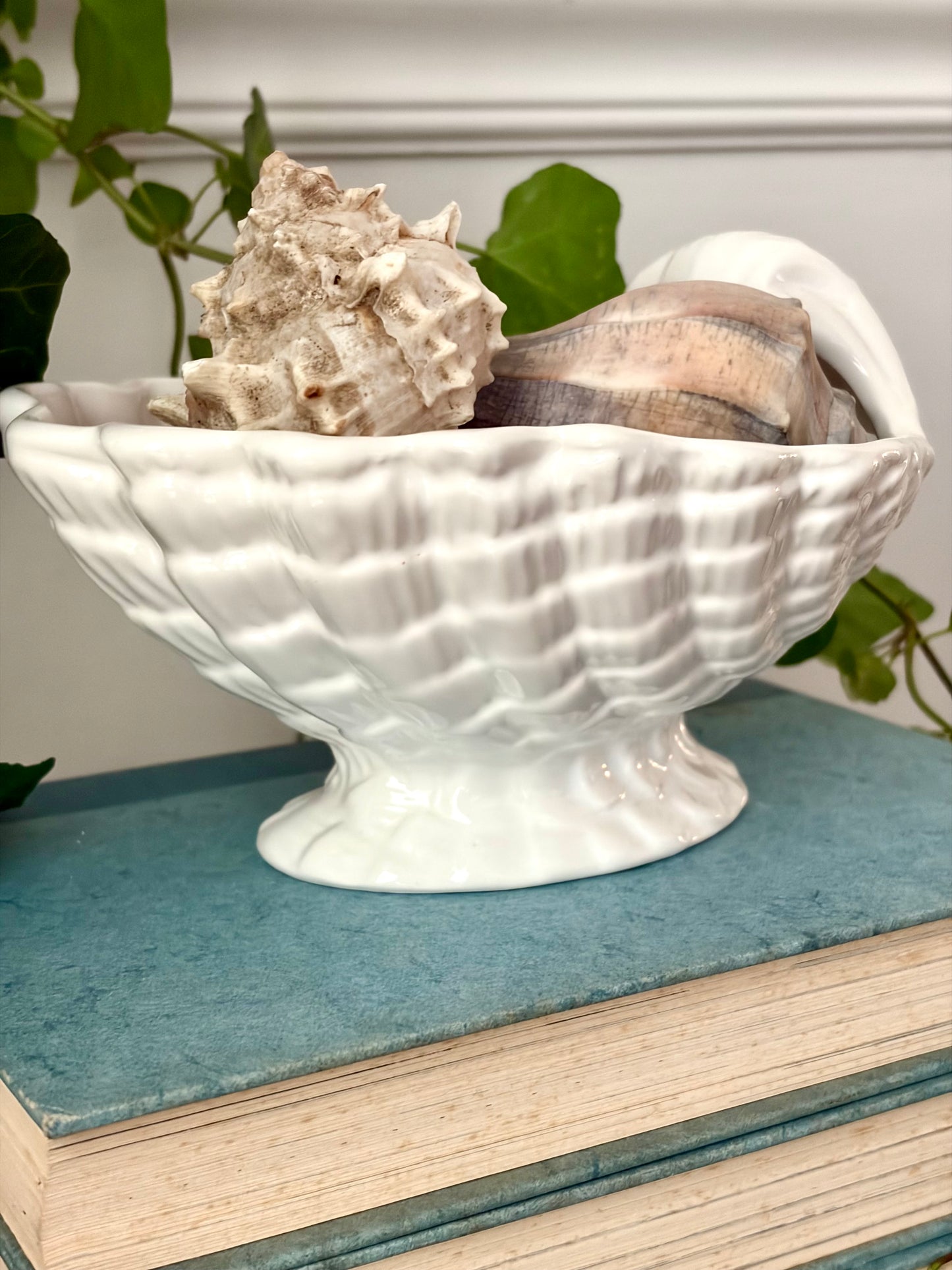 Vintage White Shell Compote