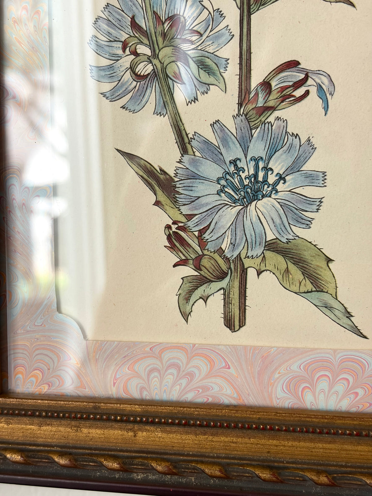 Vintage Flower Print