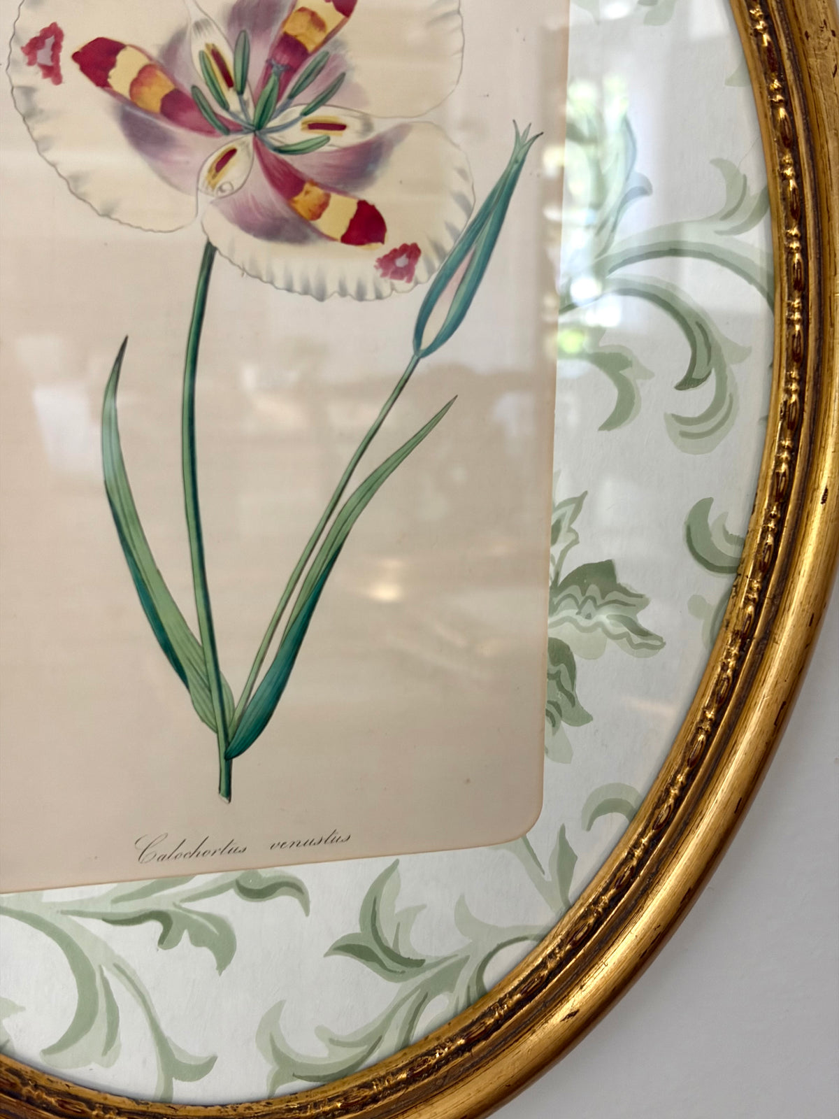 Antique Flower Print