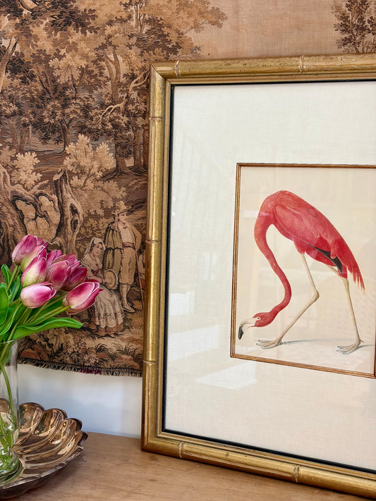 American Flamingo Plate 74
