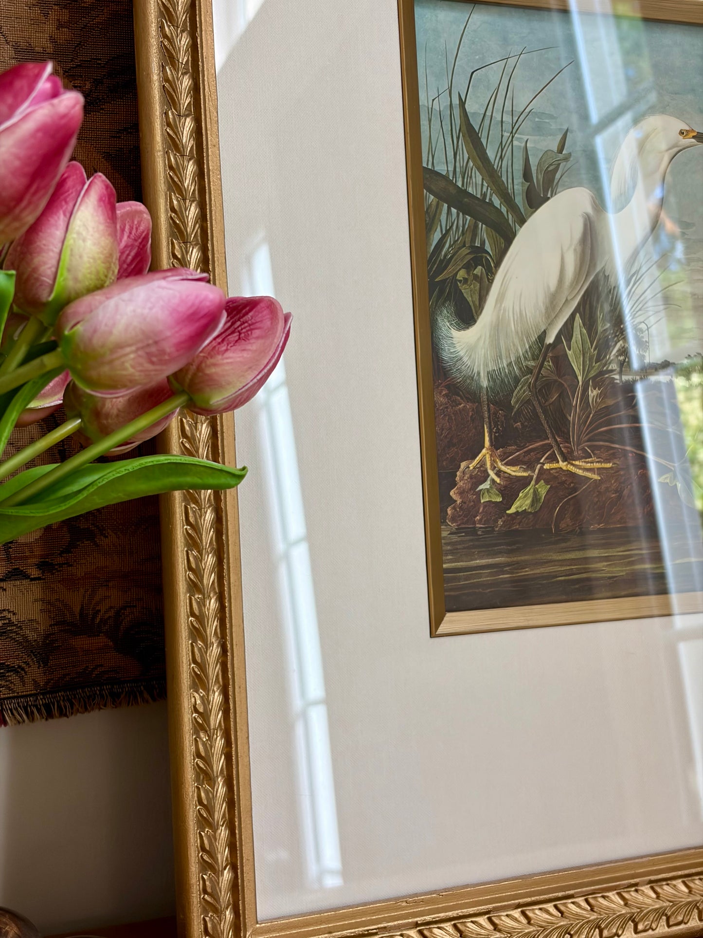Snowy Egret Plate 48