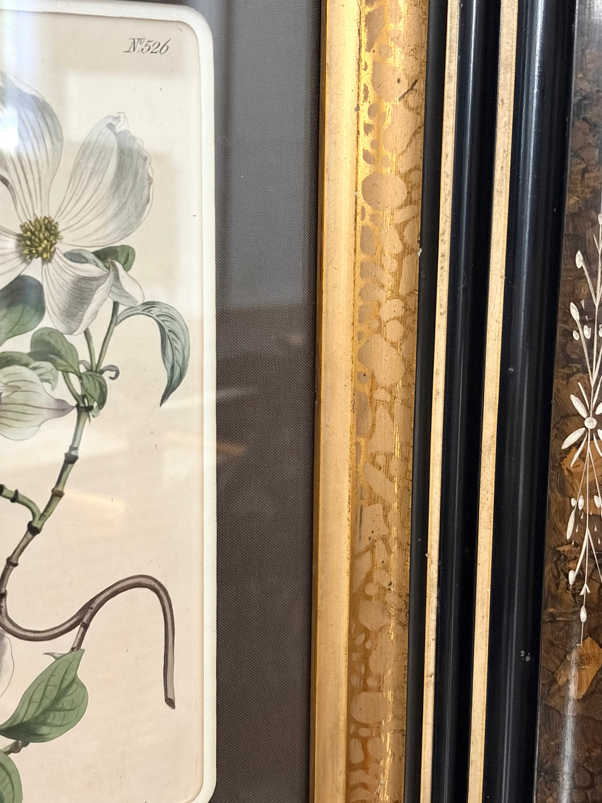 Antique Dogwood Engraving