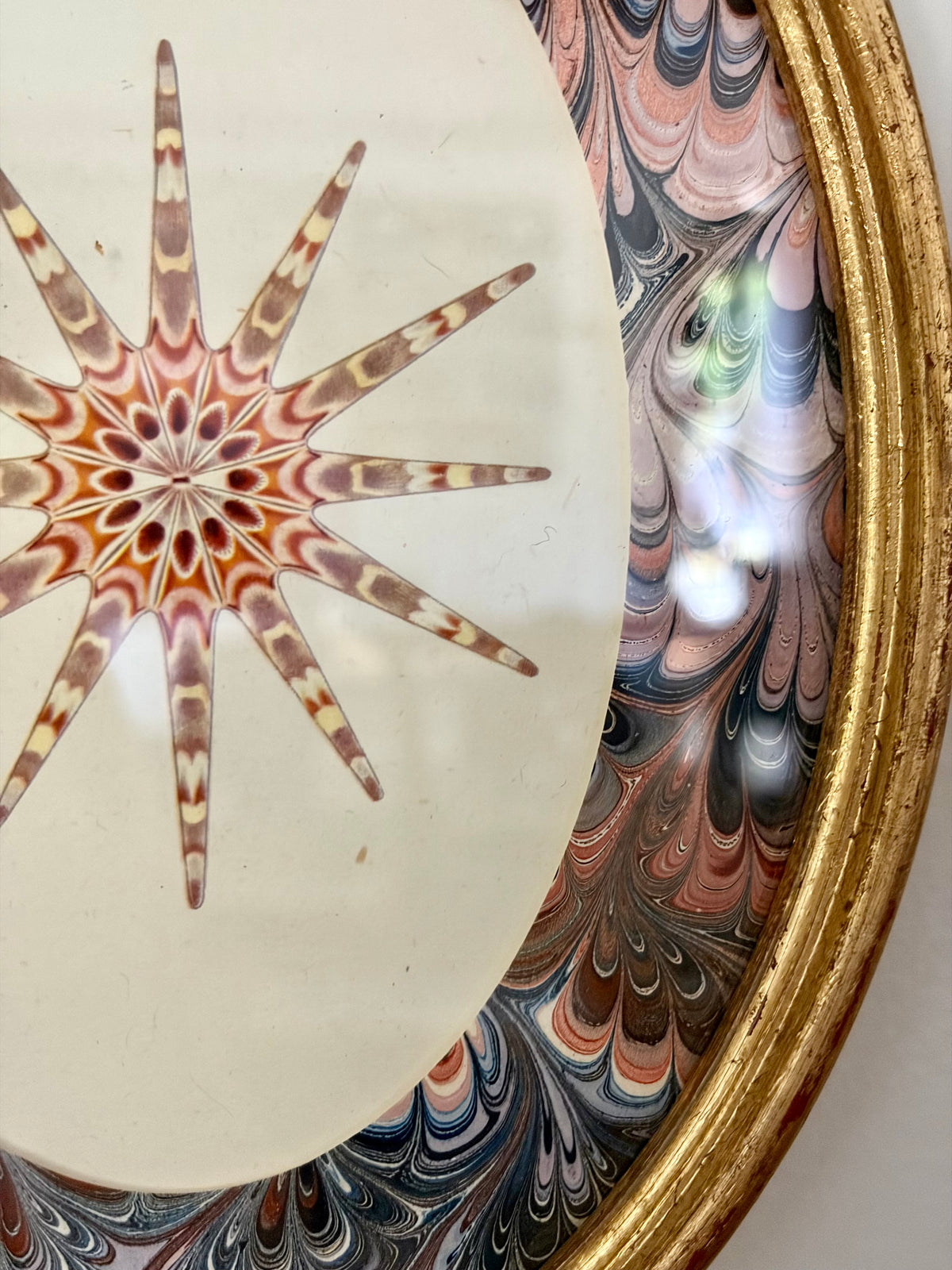 Vintage Starfish Print