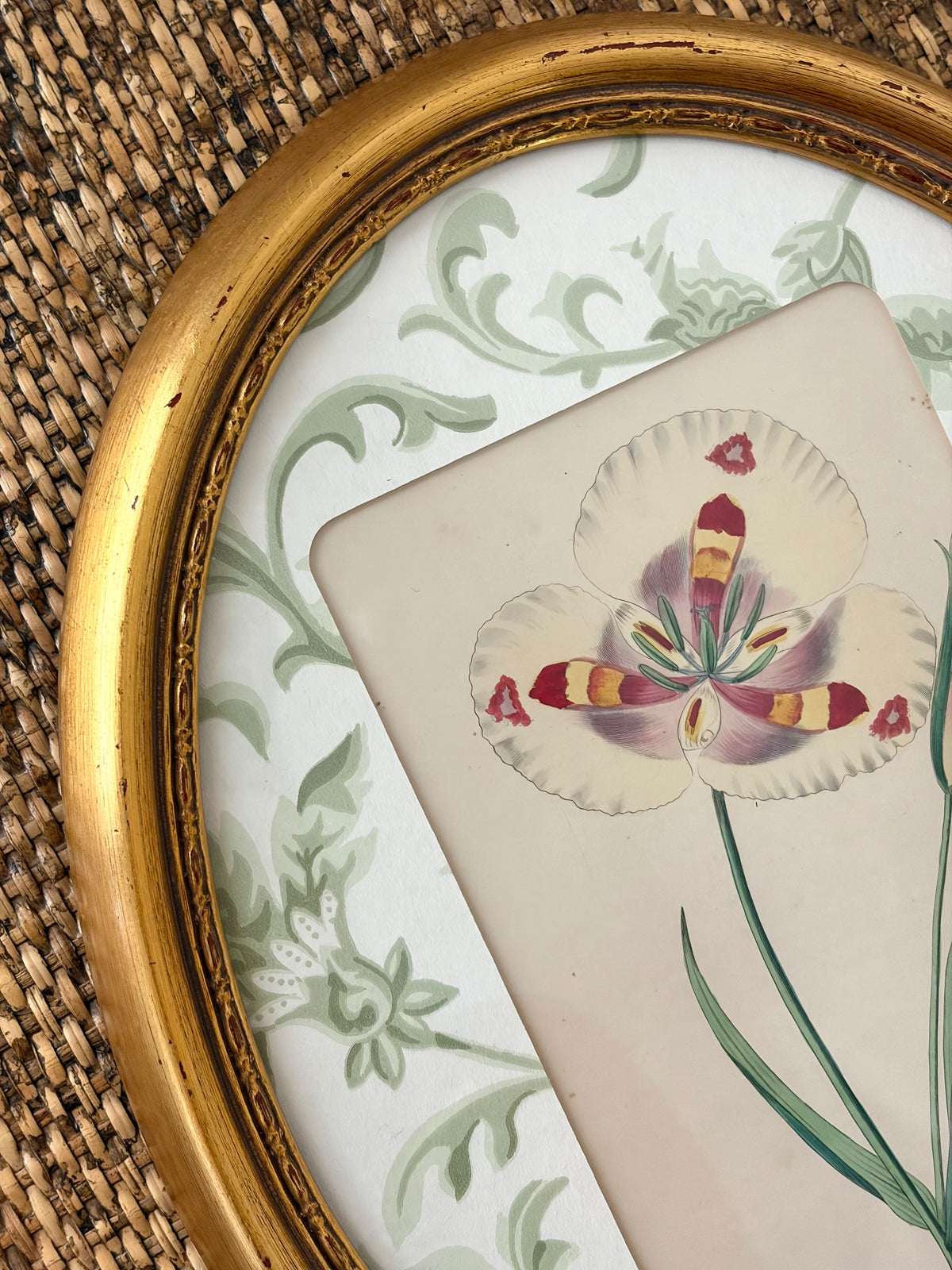Antique Flower Print