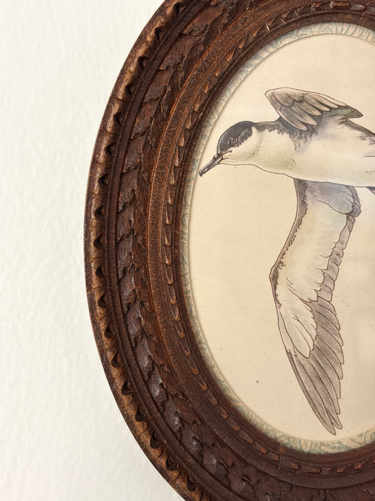 Vintage Bird Print