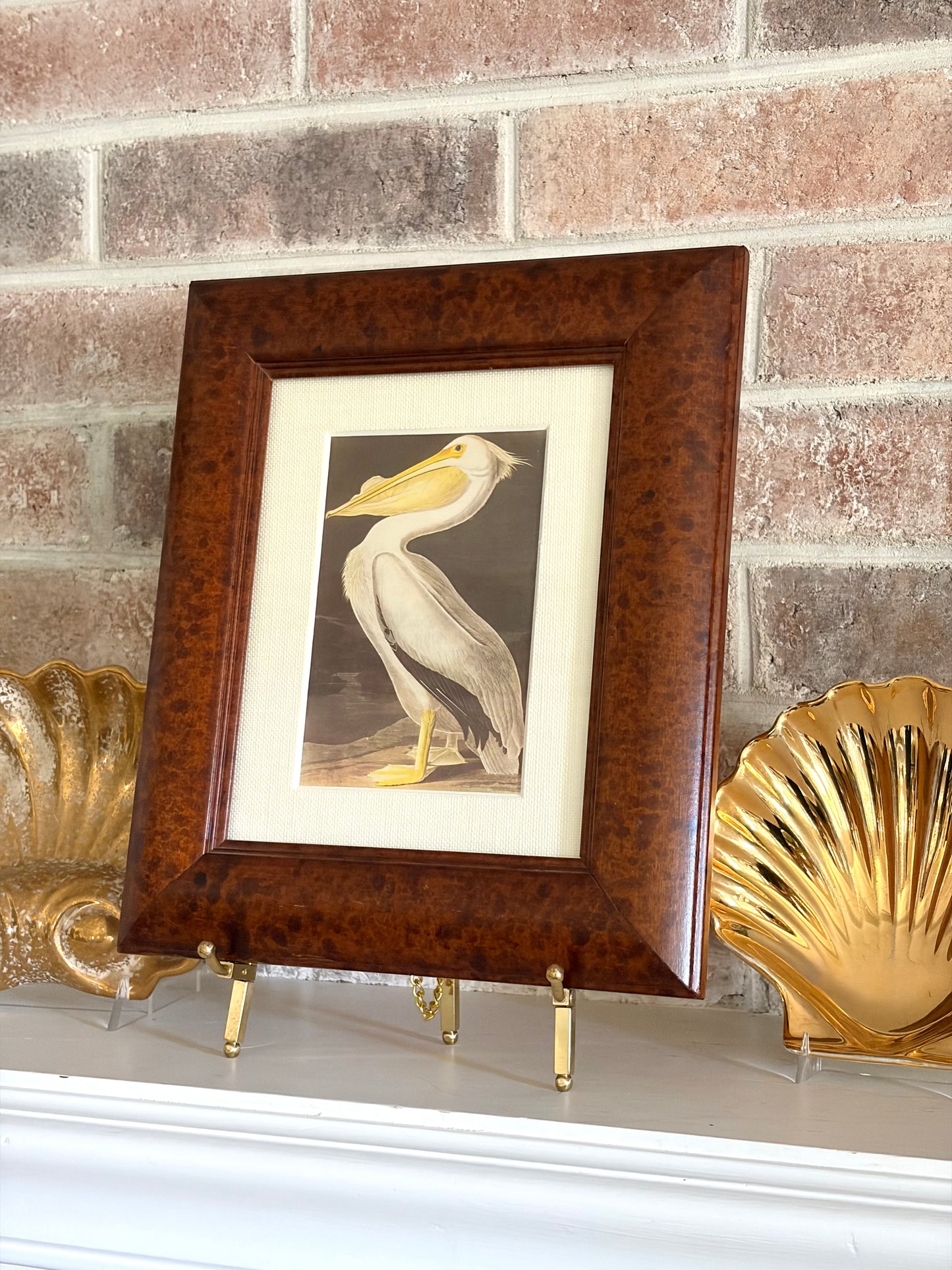 Vintage Framed White Pelican Audubon Bookplate