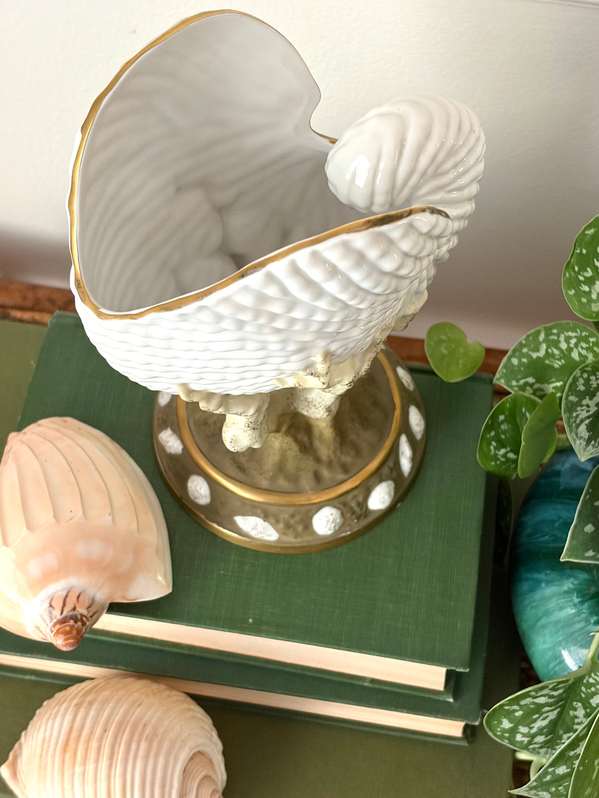 Vintage Nautilus Shell Vessel