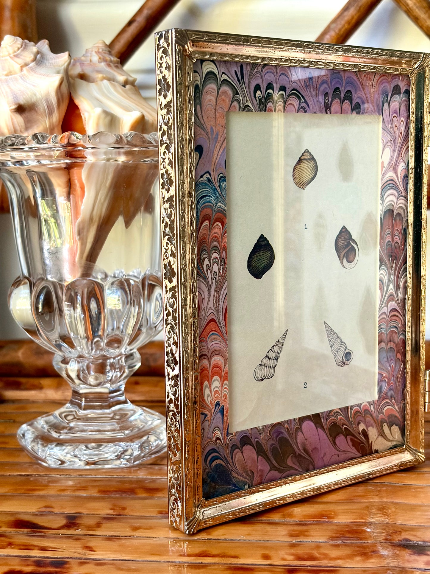 Double-Framed Antique Shell Prints
