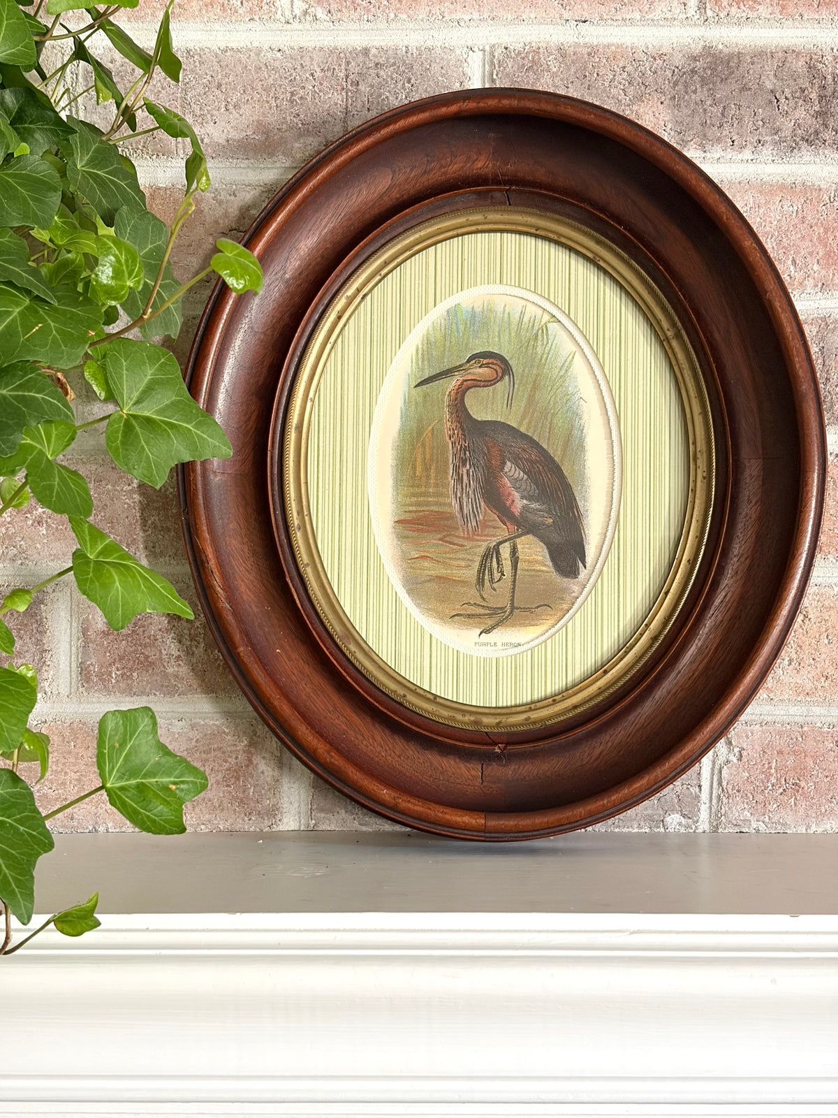 Antique Heron Print