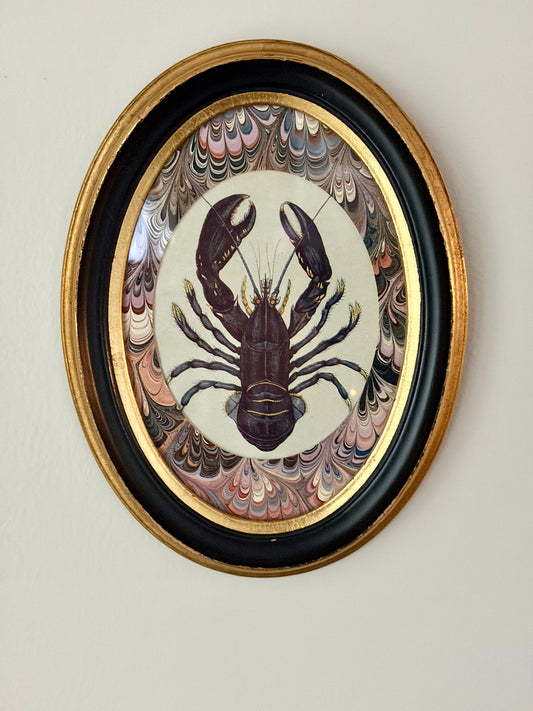 Framed Antique Lobster Print