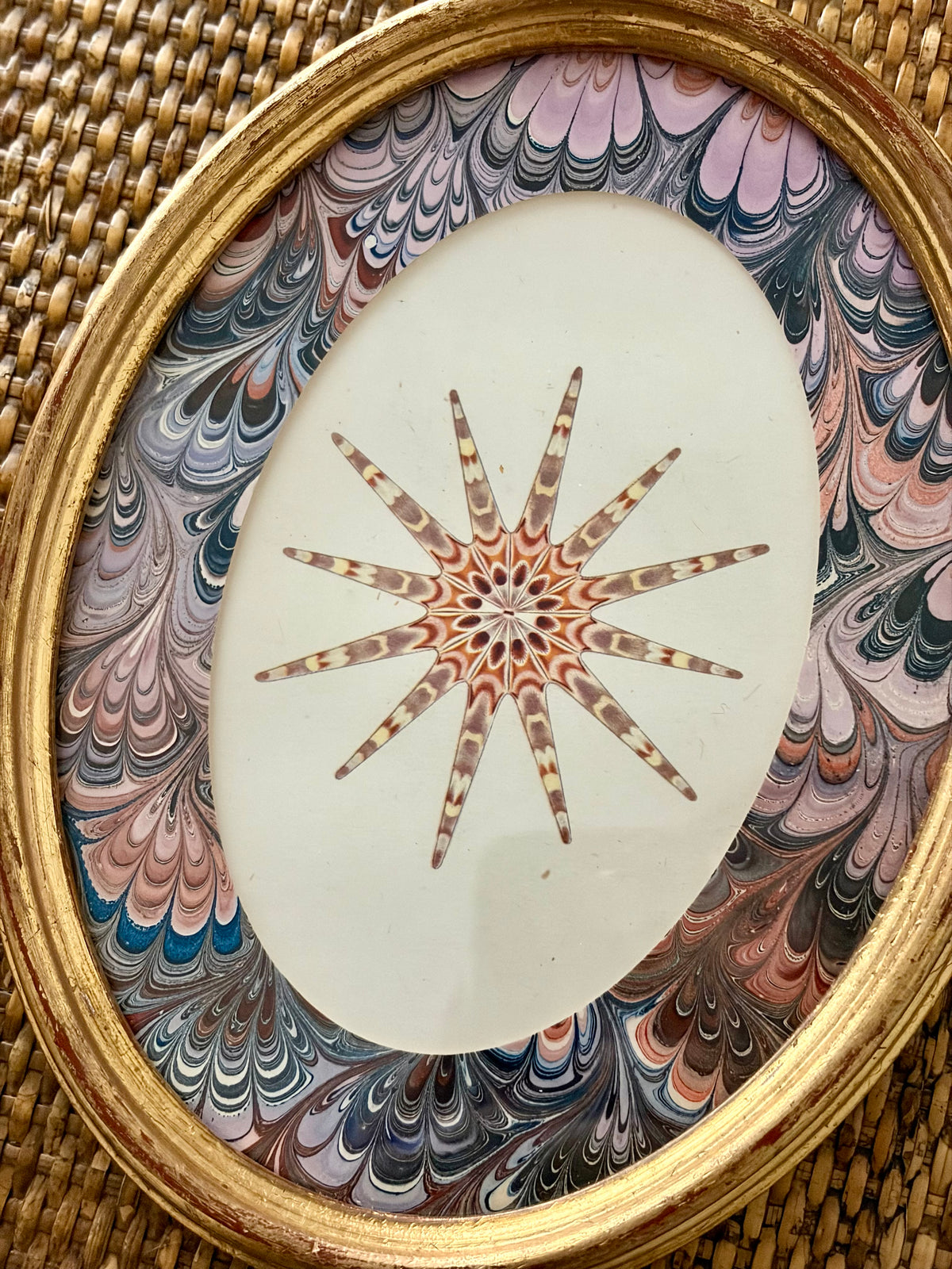 Vintage Starfish Print