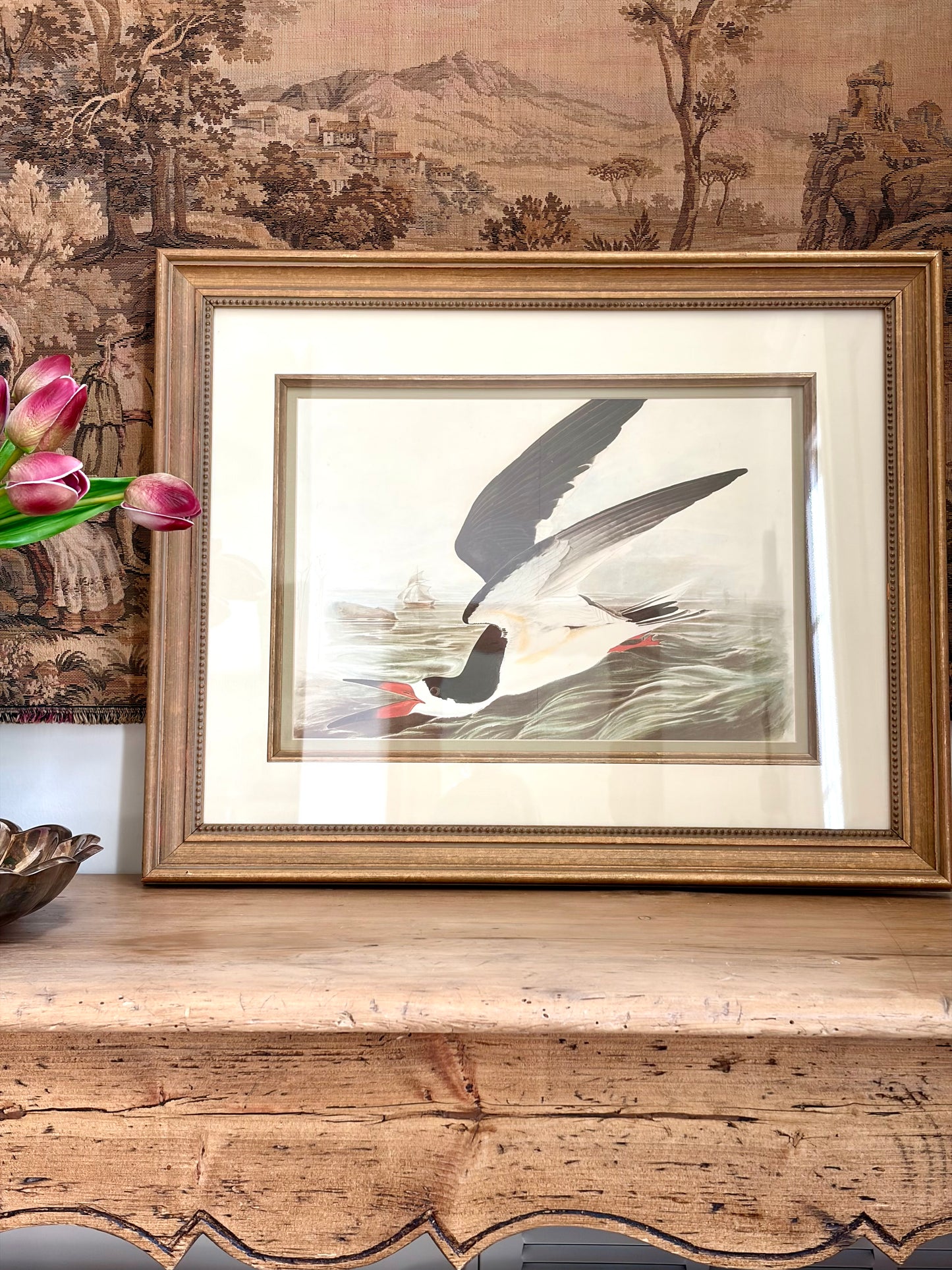 Black Skimmer Plate 355