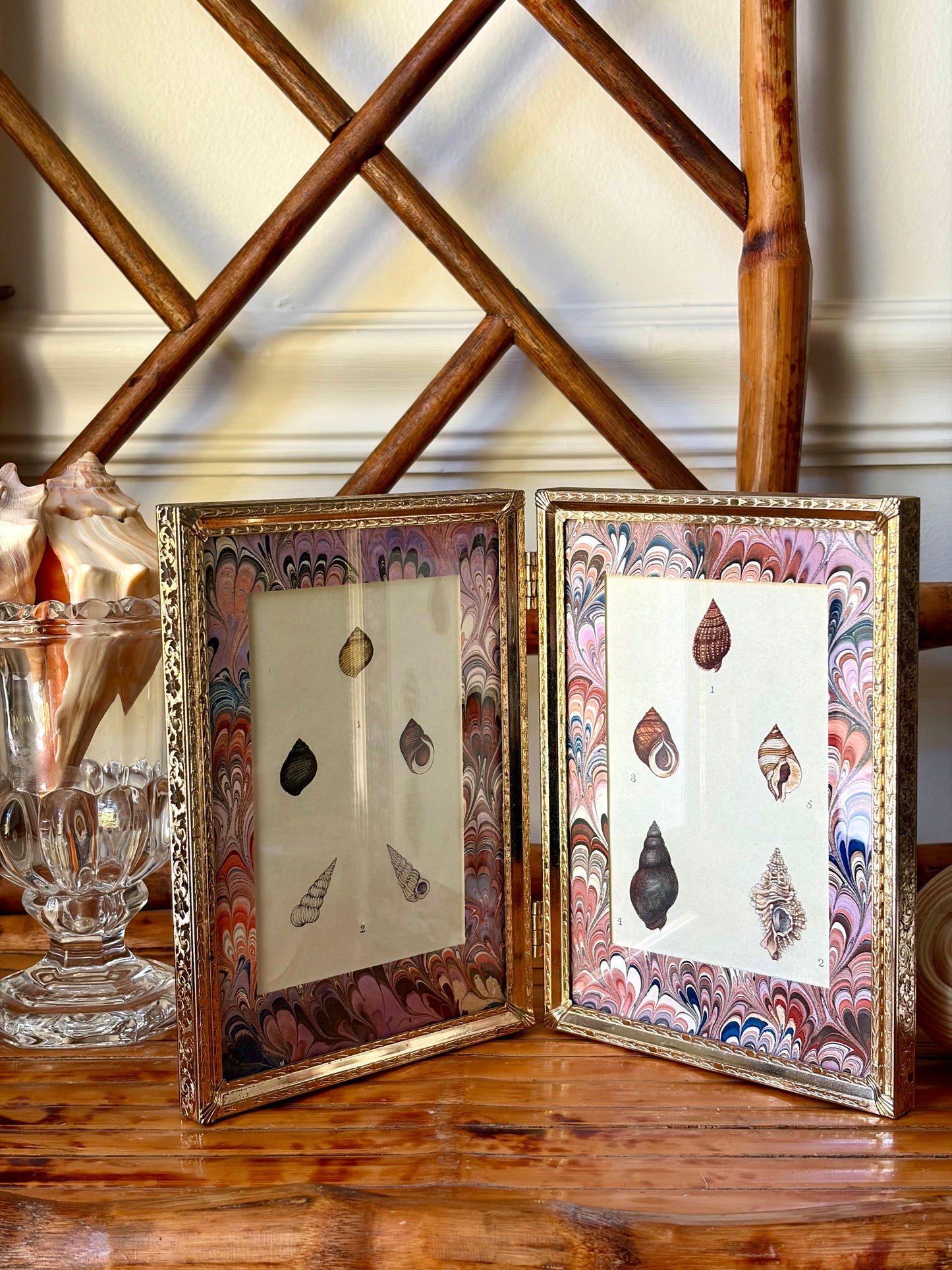 Double-Framed Antique Shell Prints