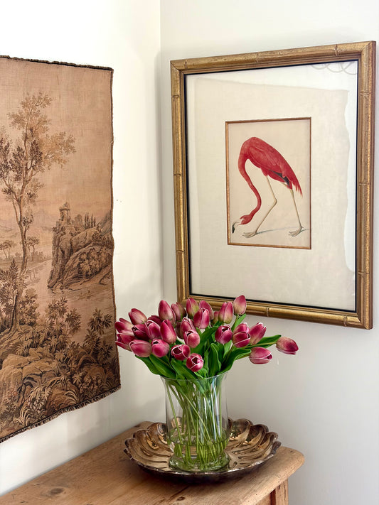 American Flamingo Plate 74